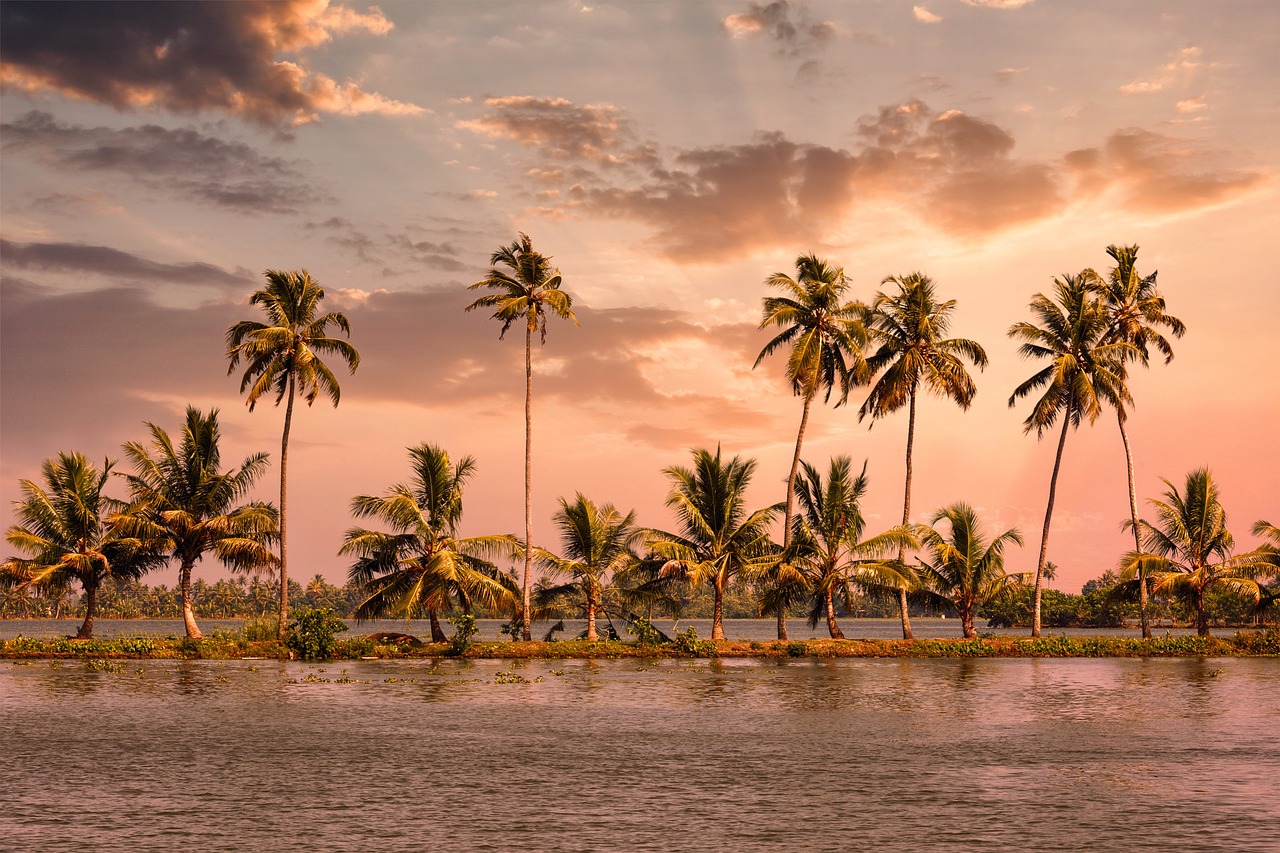 Alleppey: The Venice of the East