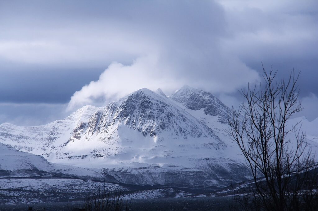 Cultural Immersion: Learning About Inuit Heritage