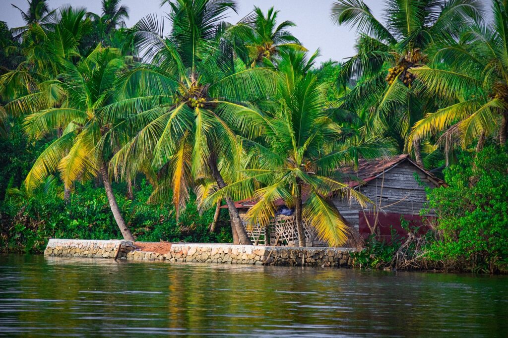 Kerala Backwaters