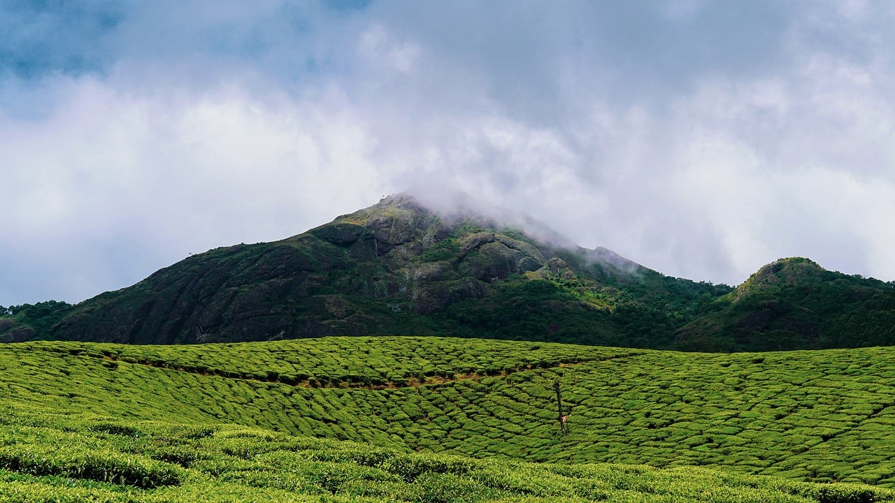  Munnar: The Enchanting Hill Station