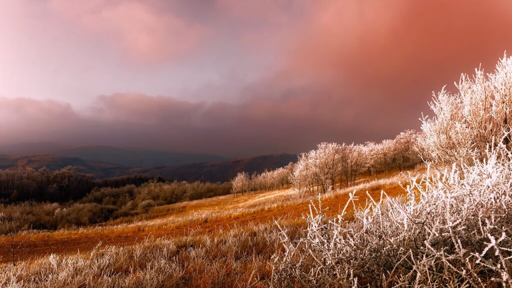 Beautiful Nature